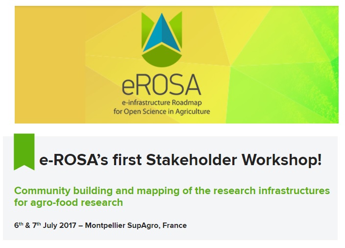 e_Rosa_Workshop